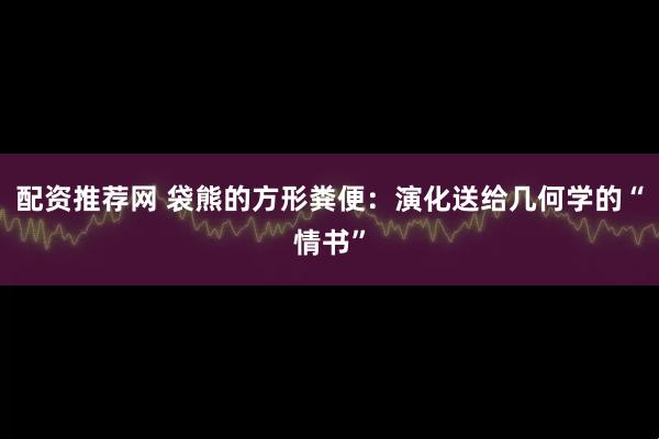 配资推荐网 袋熊的方形粪便：演化送给几何学的“情书”